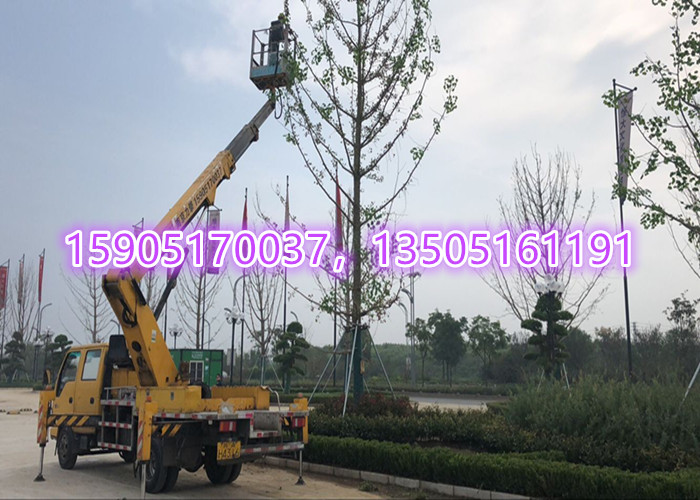 31_副本.jpg 31_副本.jpg